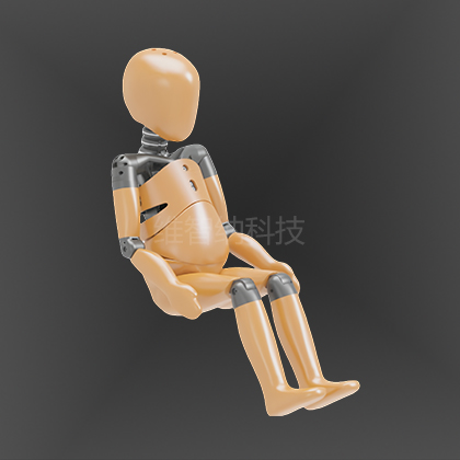 WZN-2003  Q1.5假人