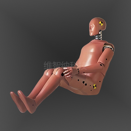  WZN-2010  95百分位假人